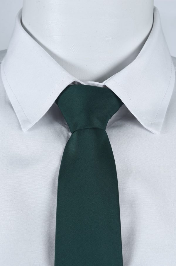 GRAVATA VERDE